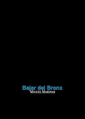 Bajar del Bronx, de Marinas Herreras | portada del libro