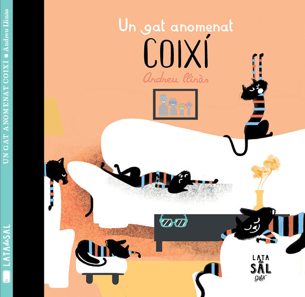 UN GAT ANOMENAT COIXI, de LLINÁS DURÁN, ADREU | portada del libro
