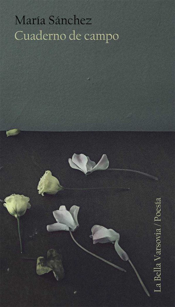 Cuaderno de campo, de Sánchez Rodríguez, María | portada del libro