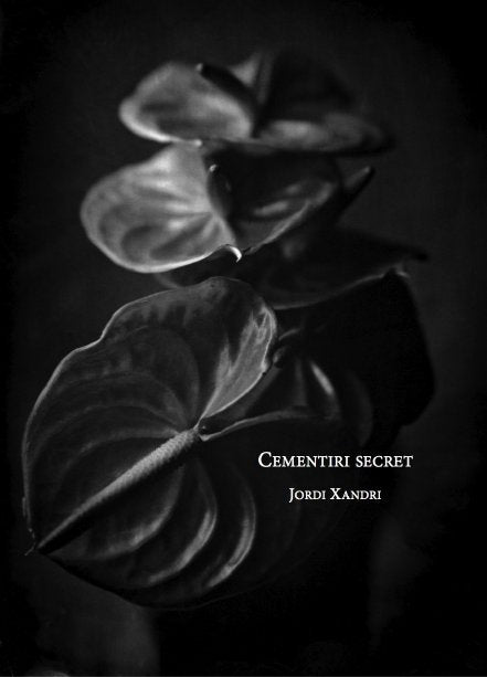Cementiri secret, de Xandri Casals, Jordi | portada del libro