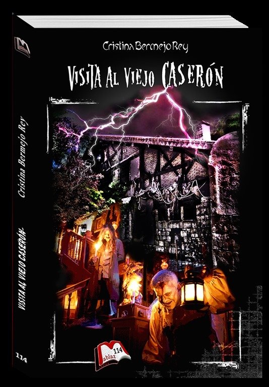Visita al viejo caserón, de Bermejo Rey, Cristina | portada del libro