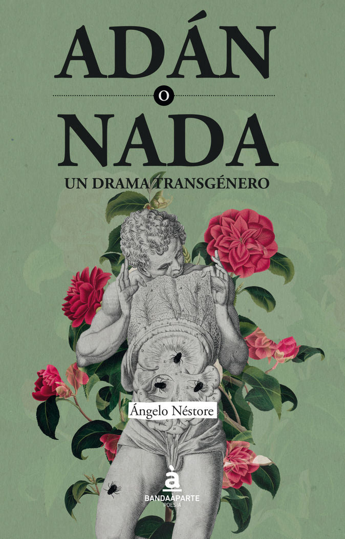ADáN O NADA, de ANGELO NéSTORE | portada del libro