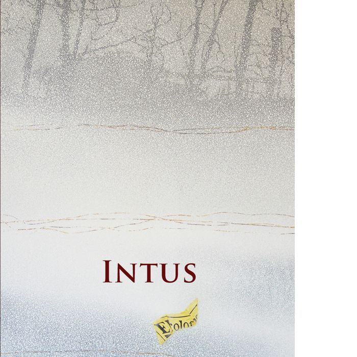 INTUS, de FERNANDO GARCíA MURGA | portada del libro