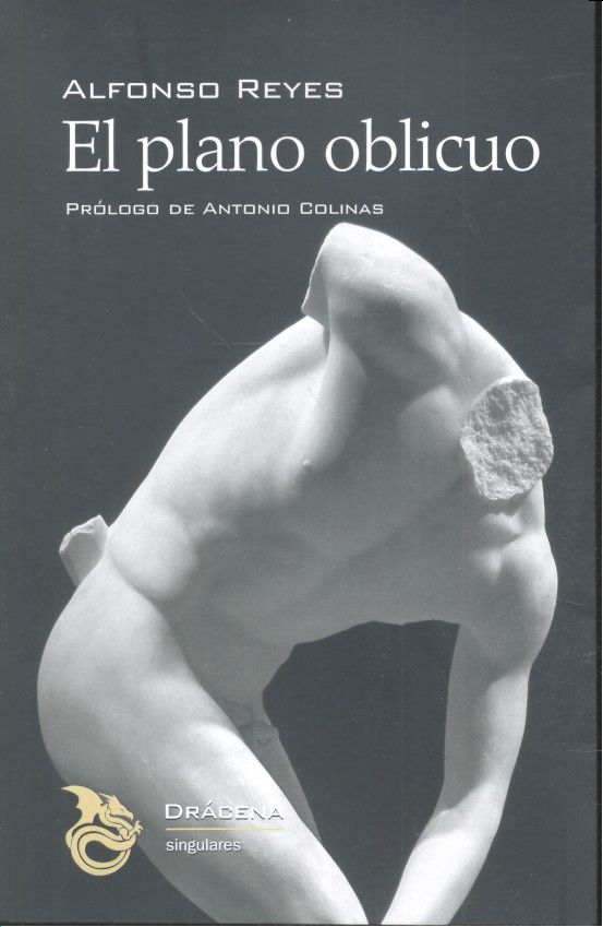 El plano oblicuo, de Reyes Ochoa, Alfonso | portada del libro
