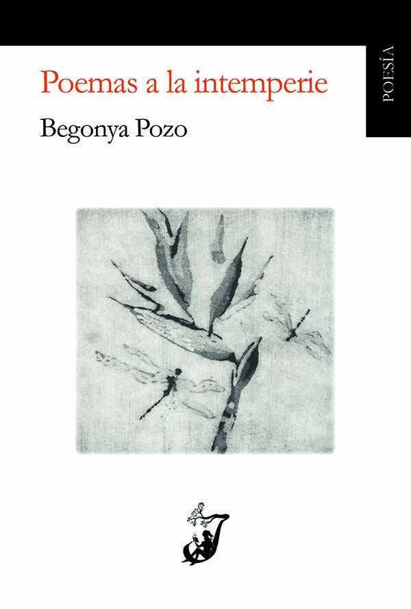 Poemas a la intemperie, de Pozo Sánchez | portada del libro