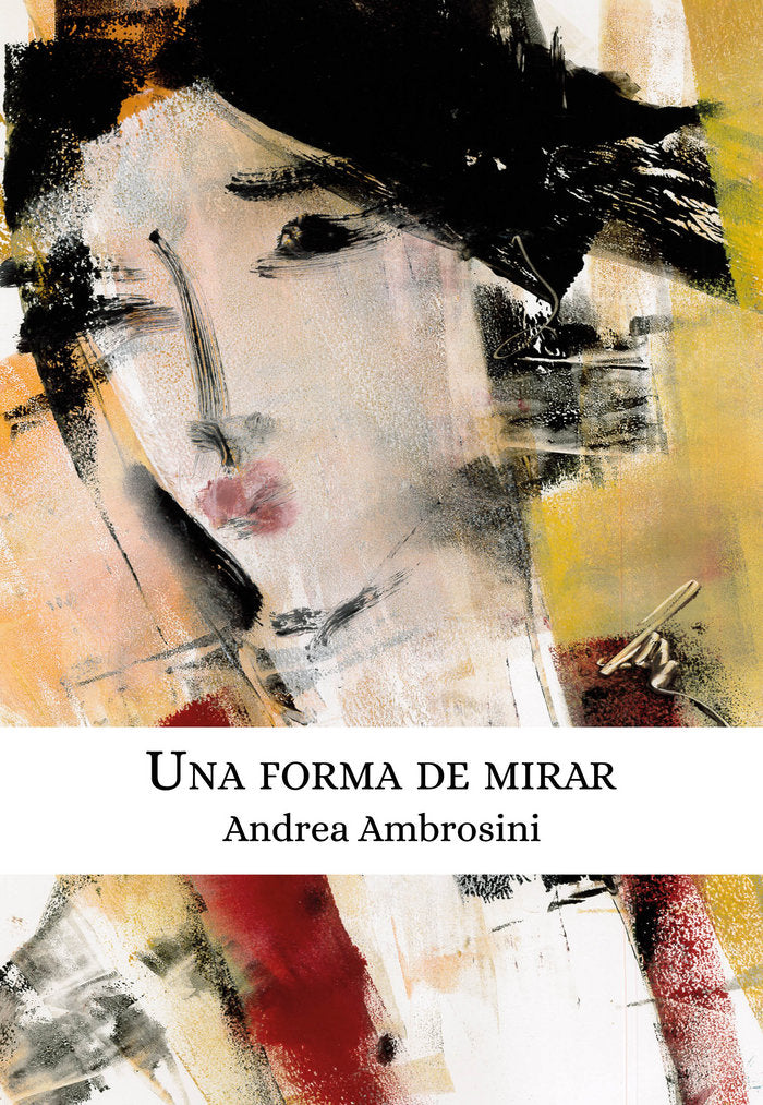 Una forma de mirar, de Ambrosini Milesi, Andrea | portada del libro