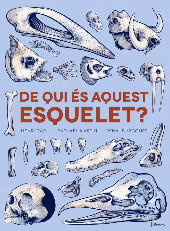 De qui és aquest esquelet?, de Cap, Henri | portada del libro