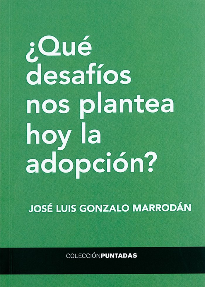 ¿QUE DESAFIOS NOS PLANTEA HOY LA ADOPCION, de JOSE LUIS GONZALO MARRODAN | portada del libro