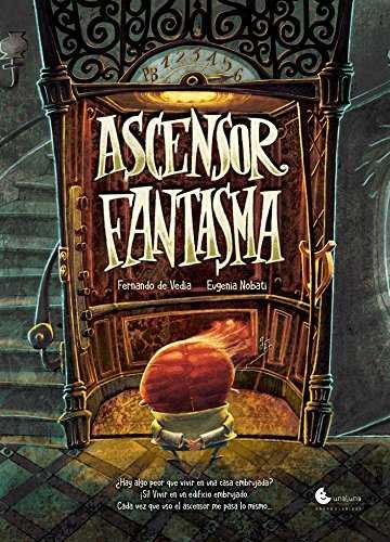 ASCENSOR FANTASMA, de VEDIA, FERNANDO DE | portada del libro