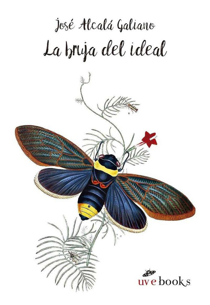 La bruja del ideal, de Jose Alcala Galiano | portada del libro