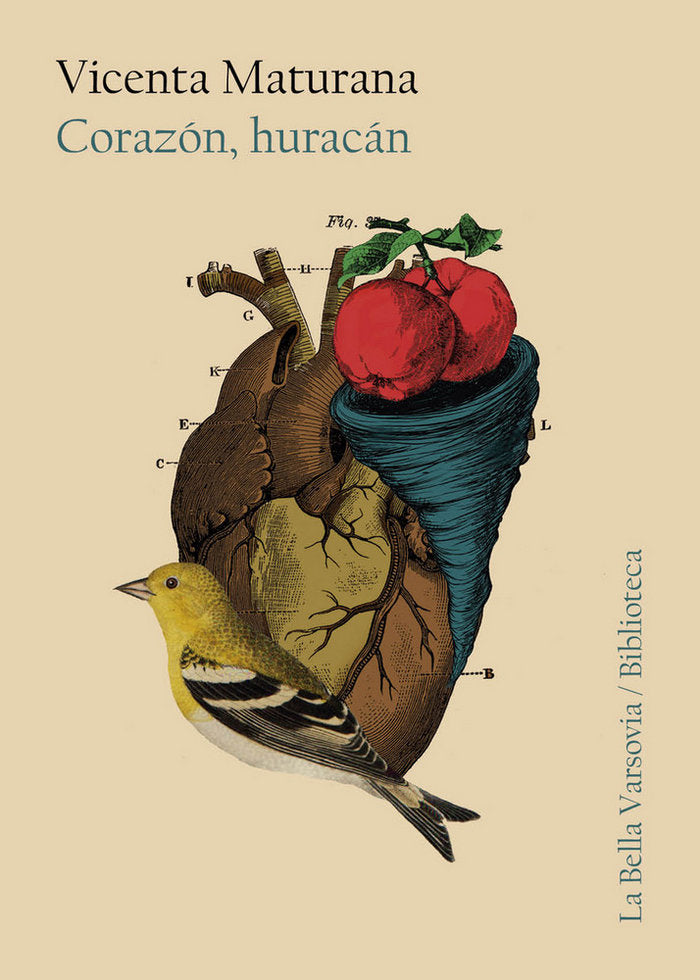 Corazón, huracán, de MATURANA,VICENTA | portada del libro