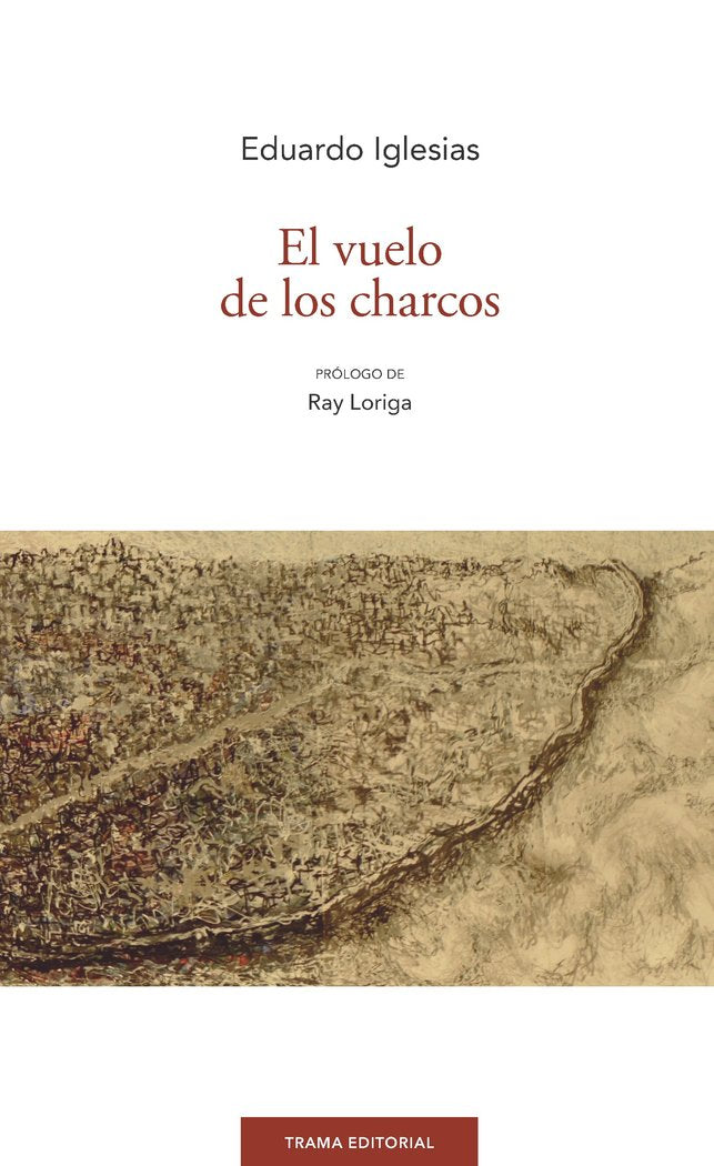 El vuelo de los charcos, de Iglesias Berridi | portada del libro