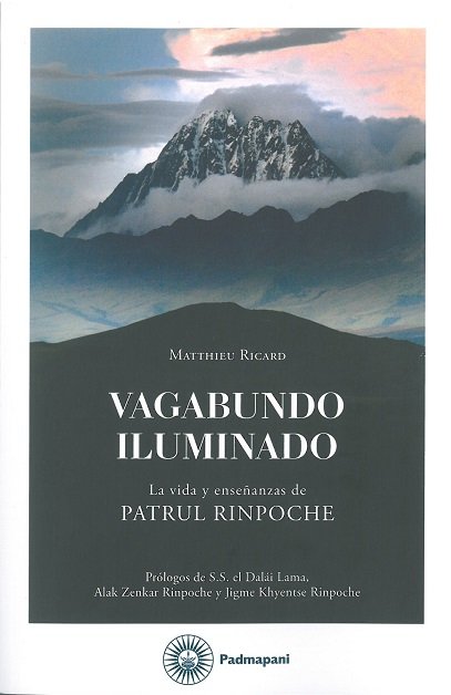 VAGABUNDO ILUMINADO, de RICARD,MATTHIEU | portada del libro
