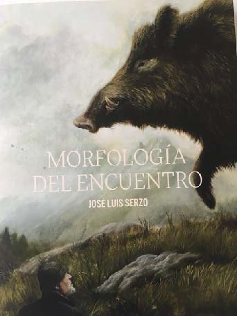 Morfología del encuentro, de Méndez Fernández | portada del libro