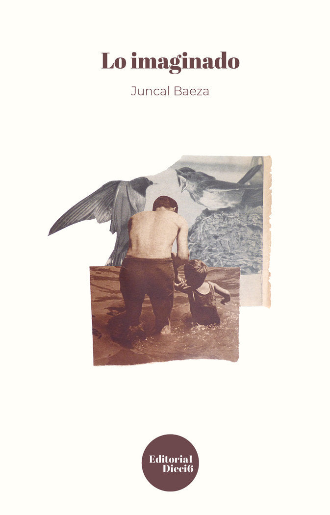 Lo imaginado, de Baeza Monedero, Juncal | portada del libro