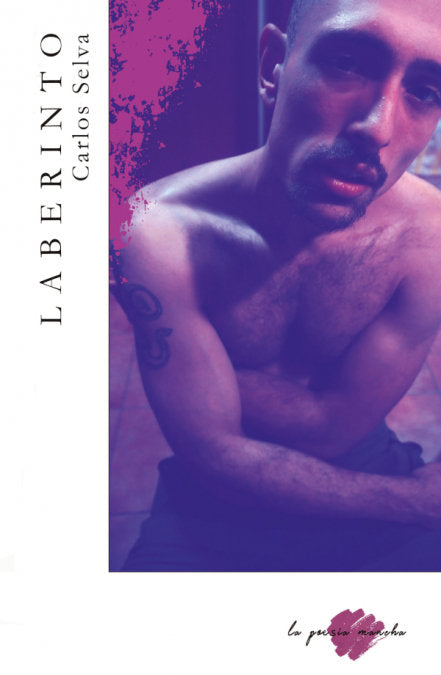 Laberinto, de Selva Cortés, Carlos | portada del libro