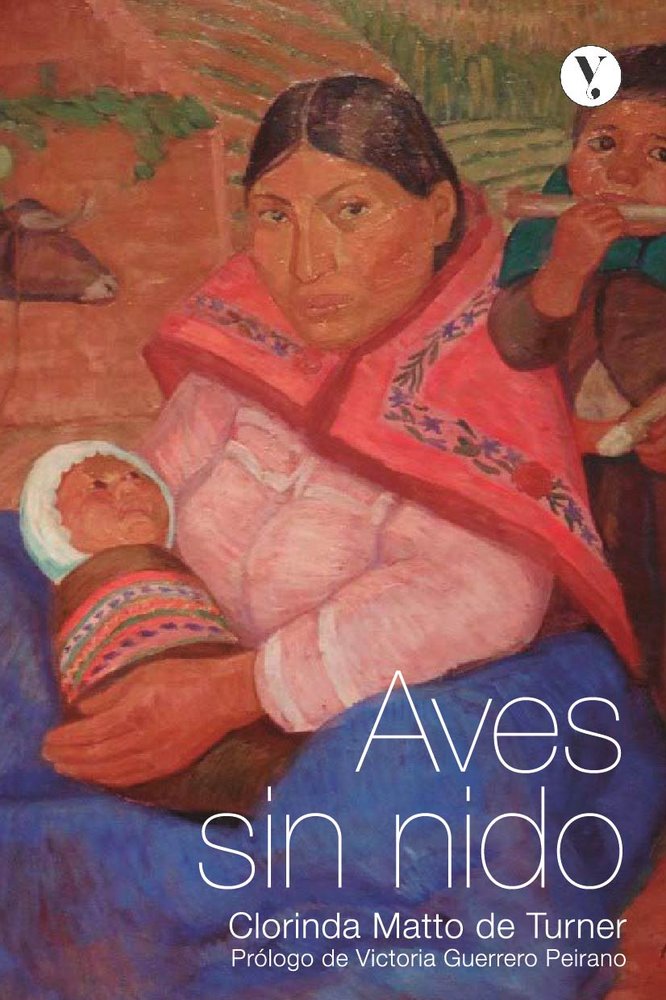 AVES SIN NIDO, de MATTO DE TURNER, CLORINDA | portada del libro