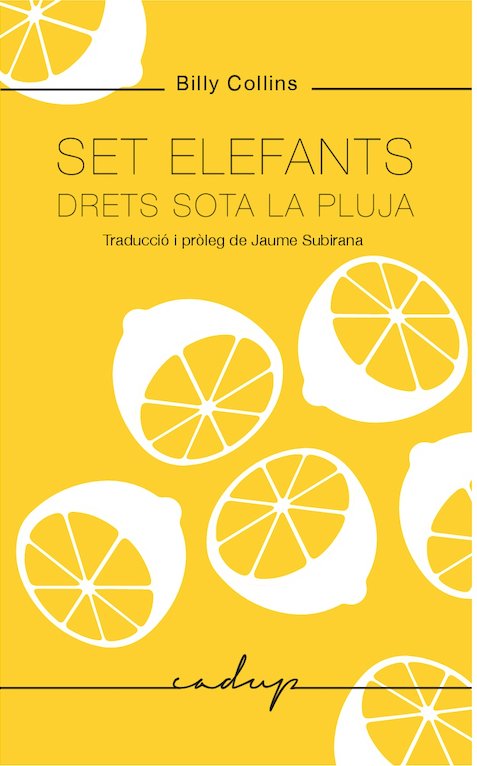 SET ELEFANTS DRETS SOTA LA PLUJA, de COLLINS | portada del libro