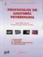 PROTOCOLOS DE ANATOMIA VETERINARIA, de VEGA VILLAR SUAREZ | portada del libro