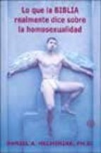 LO QUE BIBLIA REALMENTE DICE SOBRE HOMOSEXUALIDAD, de DANIEL HELMIAK | portada del libro