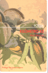 KILOMETRO 43, de Abel Murcia | portada del libro