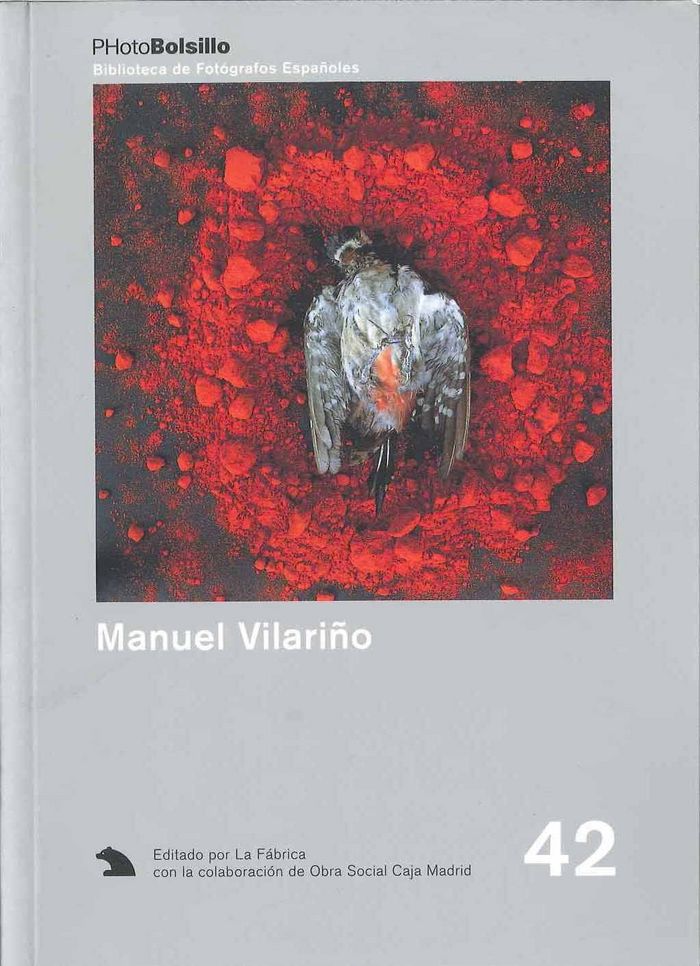 MANUEL VILARIÑO, de Vilariño | portada del libro
