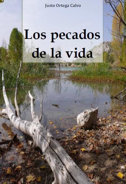 Los pecados de la vida, de ORTEGA CALVO | portada del libro