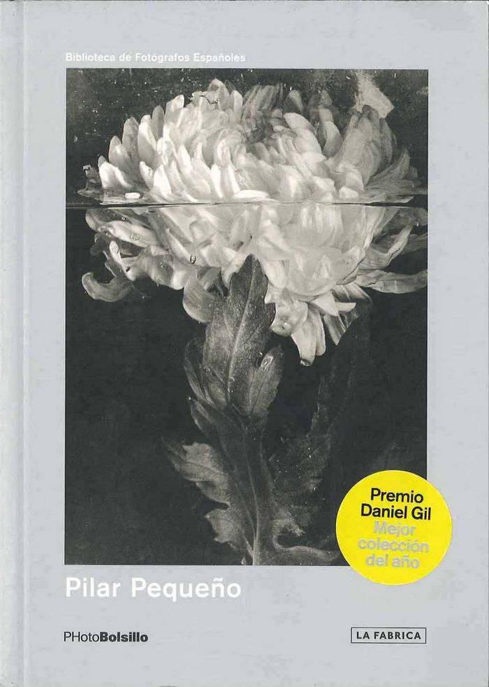 PILAR PEQUEÑO. 2ª EDICIÓN, de Pequeño | portada del libro