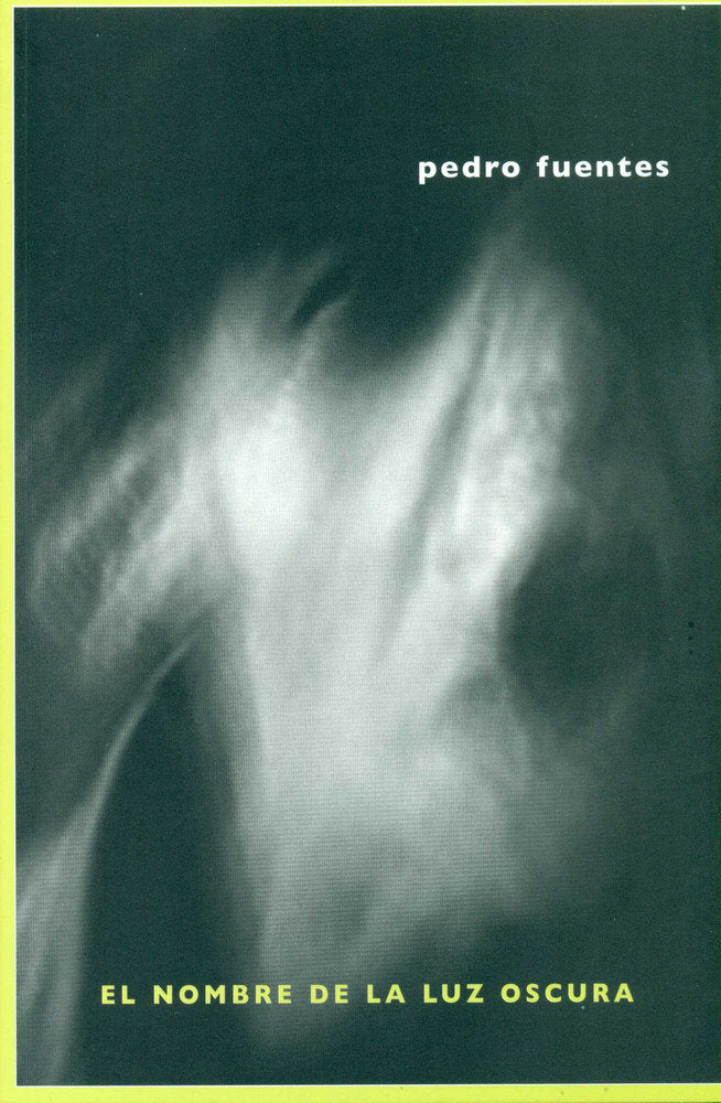 El nombre de la luz oscura, de Fuentes Pozo | portada del libro