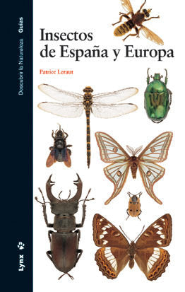 Insectos de España y Europa, de LERAUT | portada del libro