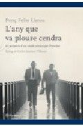 L'any que va ploure cendra, de Feliu Llansa | portada del libro