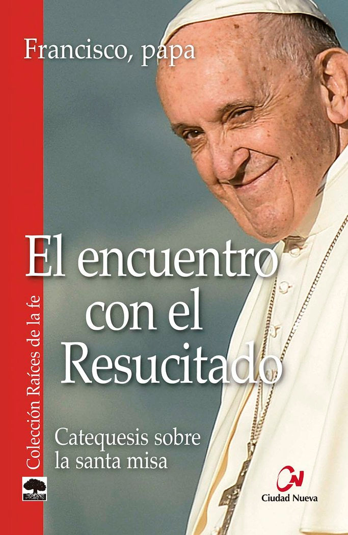 El encuentro con el resucitado, de Francisco, papa | portada del libro