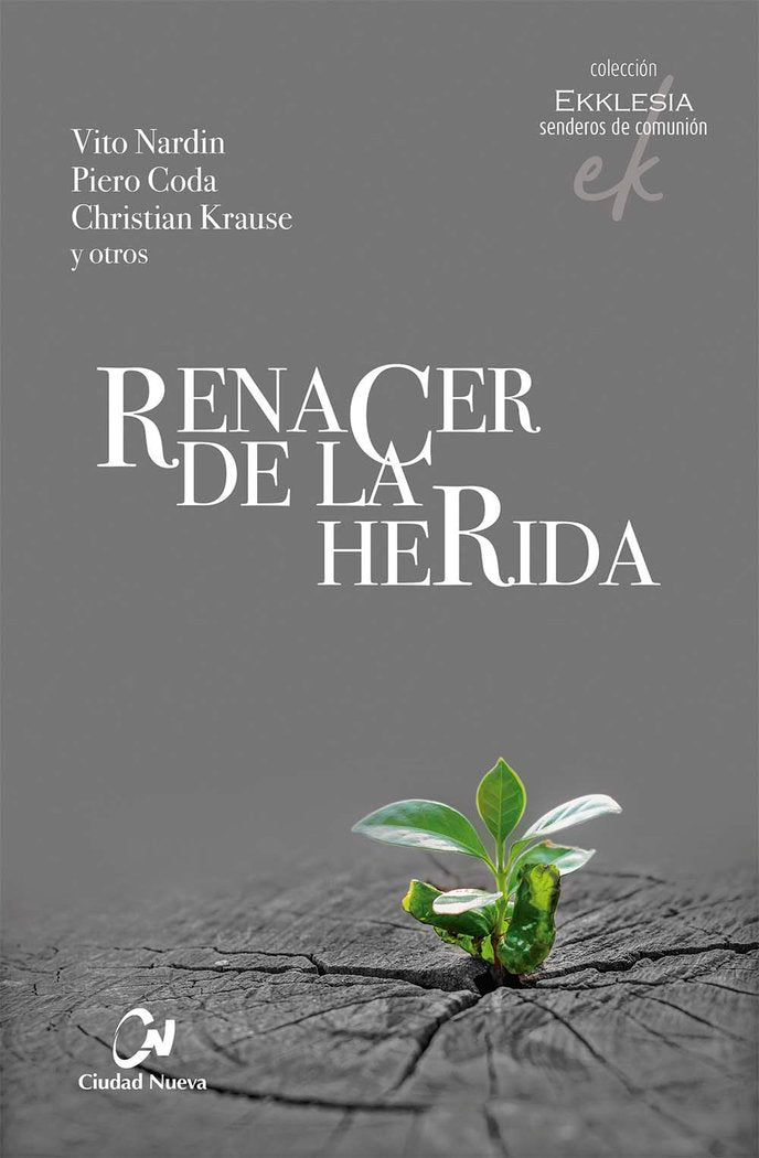 Renacer de la herida, de Varios autores | portada del libro