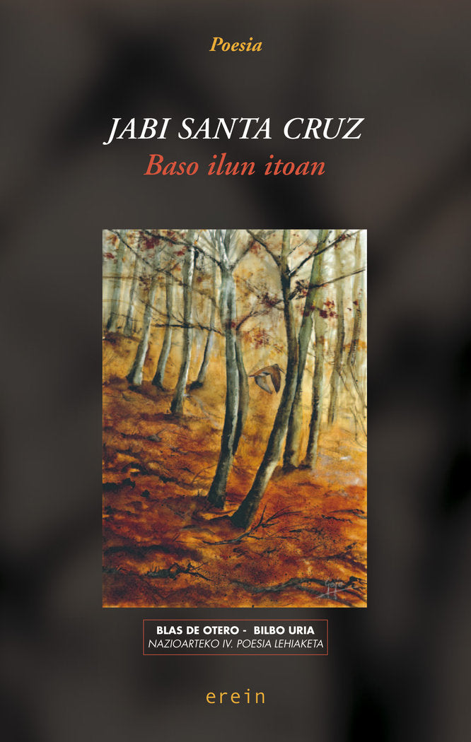 Baso ilun itoan, de JABI SANTA CRUZ | portada del libro