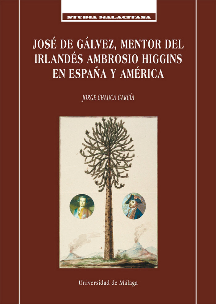 José de Gálvez, mentor del irlandés Ambrosio Higgins en España y América, de Chauca García | portada del libro
