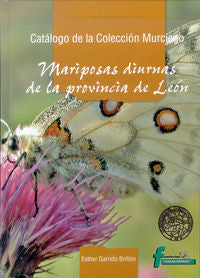 Catálogo de la Colección Murciego: mariposas diurnas de la provincia de León, de GARRIDO BRIÑON, ESTHER | portada del libro