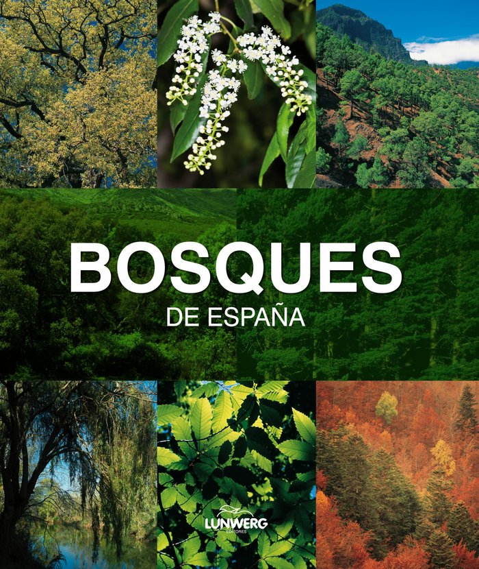 Bosques de España. Lunwerg Medium, de Araújo | portada del libro