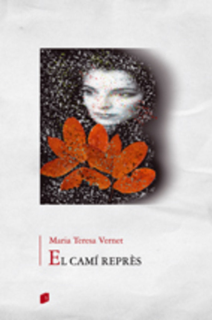 CAMI REPRES, EL, de VERNET REAL, MARIA TERESA | portada del libro