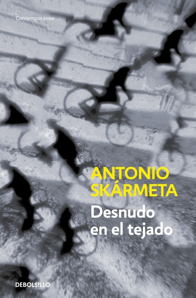 Desnudo en el tejado, de Skármeta, Antonio | portada del libro