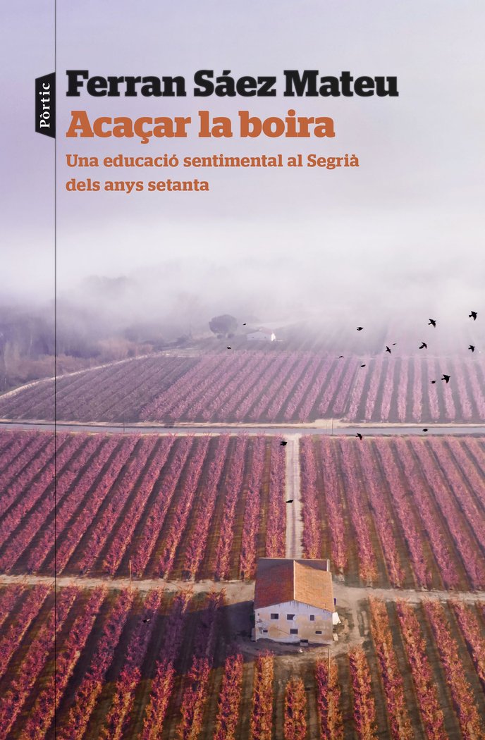 ACACAR LA BOIRA, de SAEZ MATEU, FERRAN | portada del libro