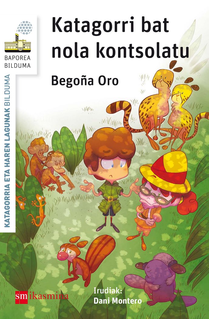 Katagorri bat nola kontsolatu, de Oro Pradera, Begon~a | portada del libro