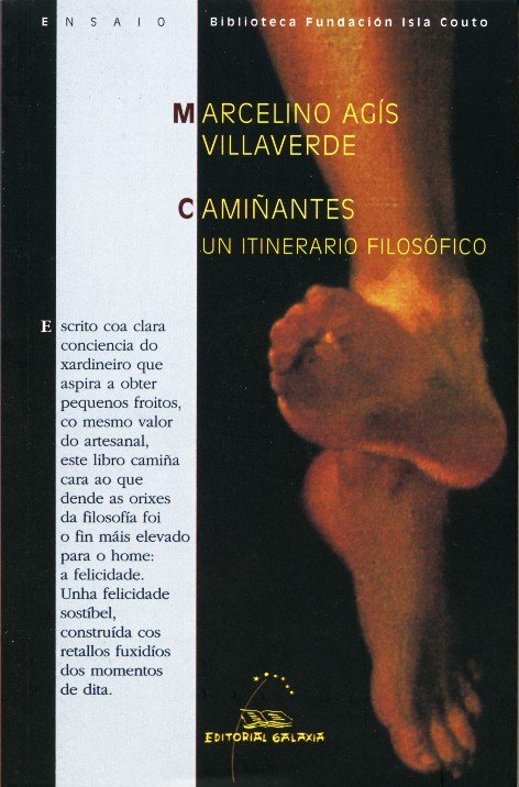 Camiûantes un itinerario filosofico, de Agis Villaverde, Marcelino | portada del libro