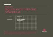 Tomo XXI Esquemas de Derecho concursal, de Emilio Miguel Beltrán Sánchez#Ana Belén Campuzano Laguillo#Rafael Sebastián#Javier