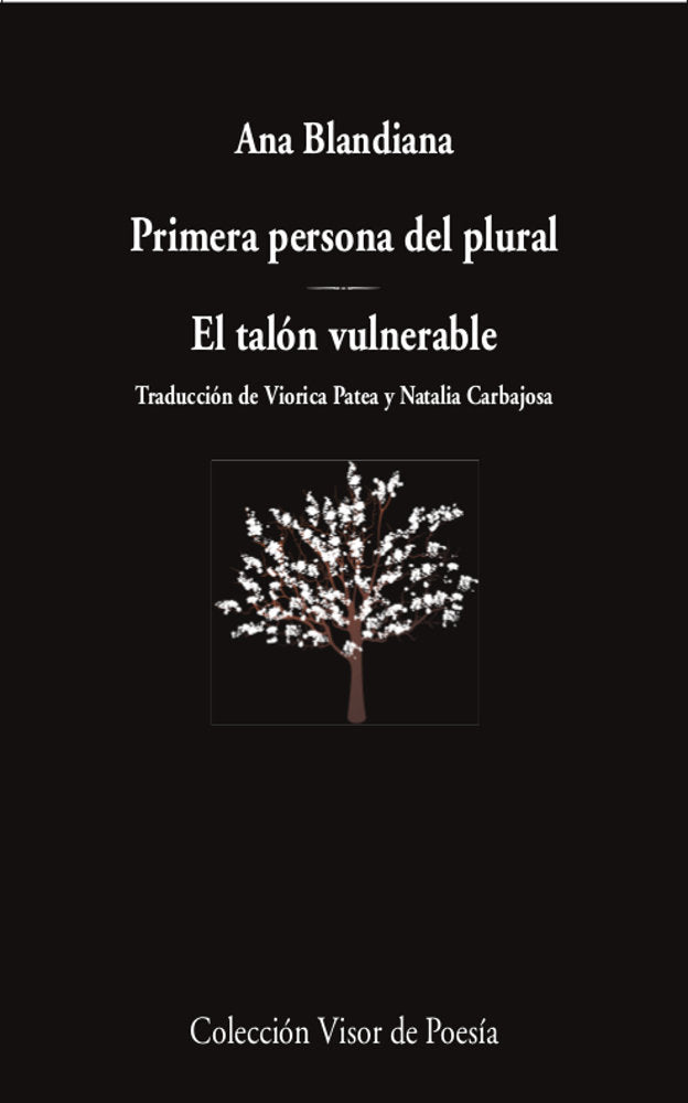 PRIMERA PERSONA DEL PLURAL EL TALON VULNERABLE, de BLANDIANA, ANA | portada del libro
