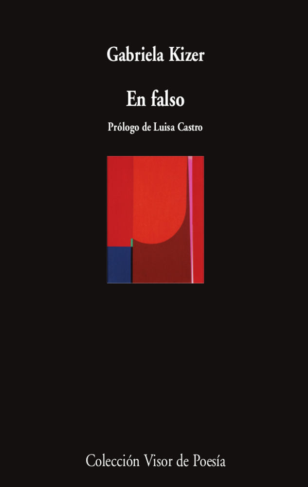 En falso, de KIZER, GABRIELA | portada del libro