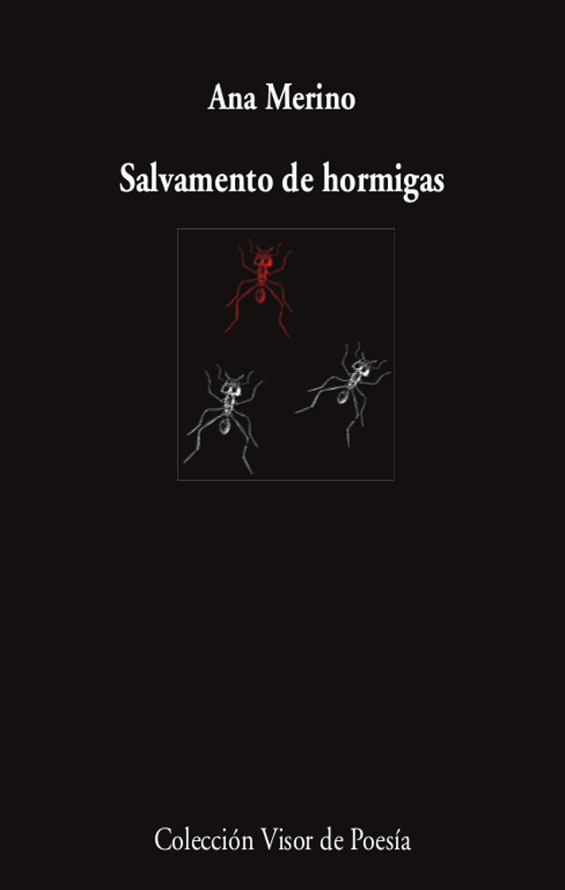 Salvamento de hormigas, de MERINO, ANA | portada del libro