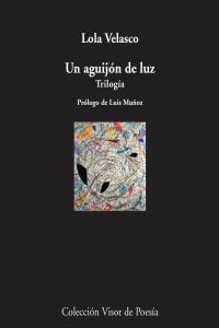 Un aguijón de luz, de Velasco, Lola | portada del libro