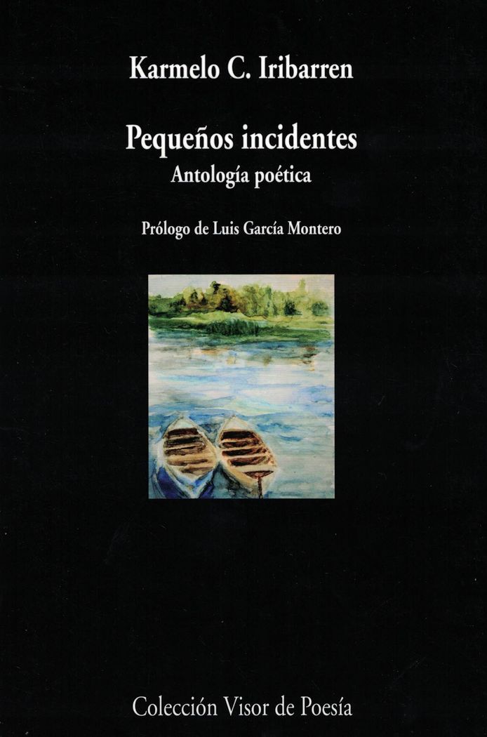 Pequeños incidentes. Antología poética, de Iribarren, Carmelo C. | portada del libro
