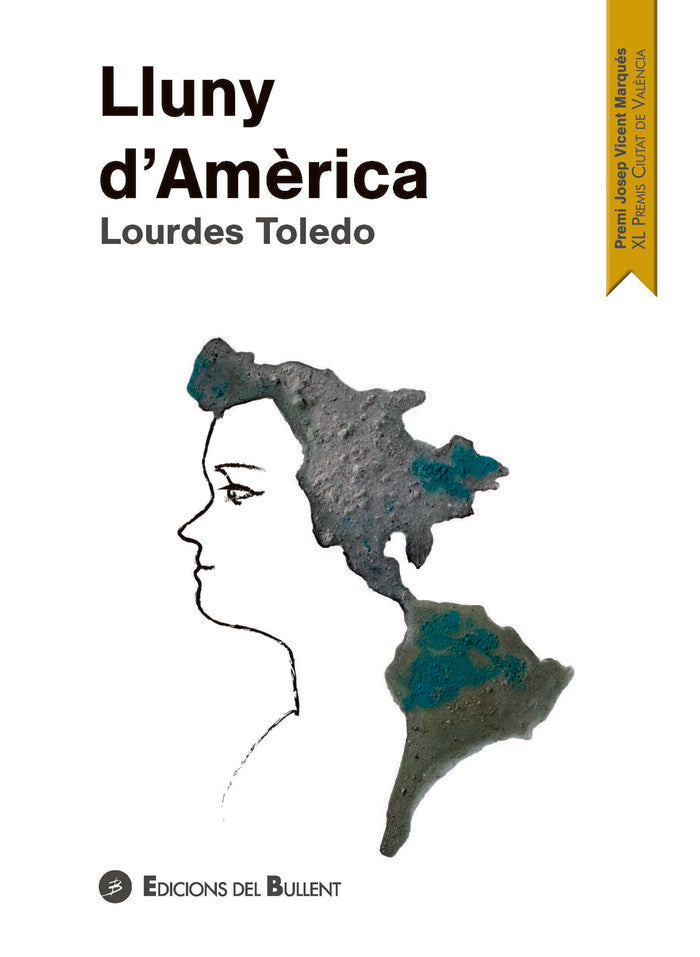 LLUNY DAMERICA, de TOLEDO, LOURDES | portada del libro