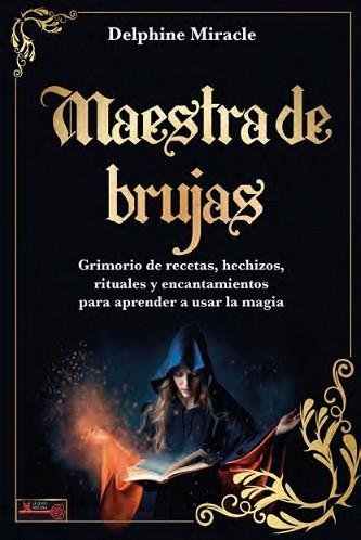 MAESTRA DE BRUJAS, de DELPHINE MIRACLE | portada del libro